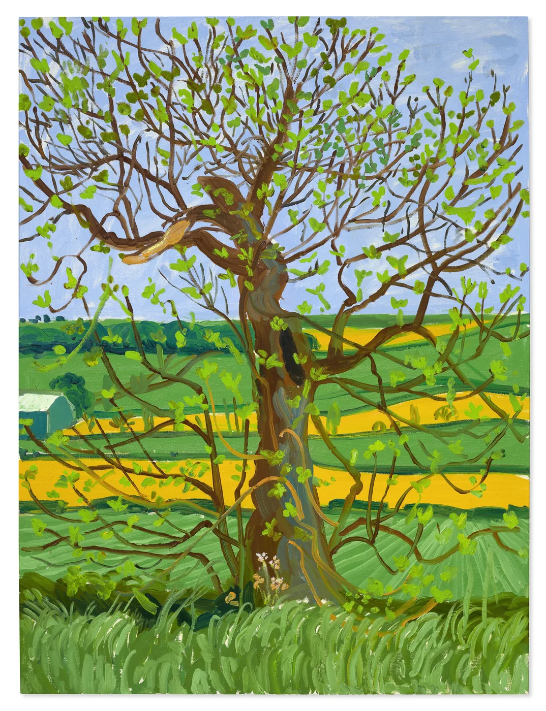 David Hockney-inspired Woldgate tree landscape art poster print, Yorkshire countryside luminous composition, vibrant digital-inspired colour palette, British landscape aesthetic philosophy, seasonal tree study visual language, archival quality print, Hockney landscape collector wall piece, British countryside home décor, contemporary landscape gallery art, Yorkshire inspired print, British art history gift.